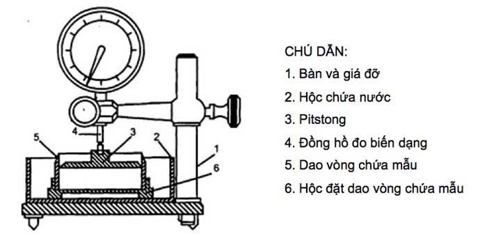 bộ trương nở đất