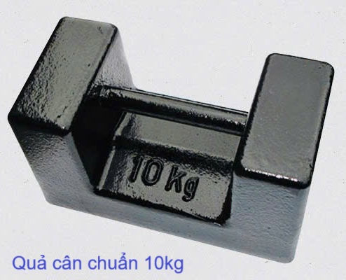 quả cân chuẩn 10kg